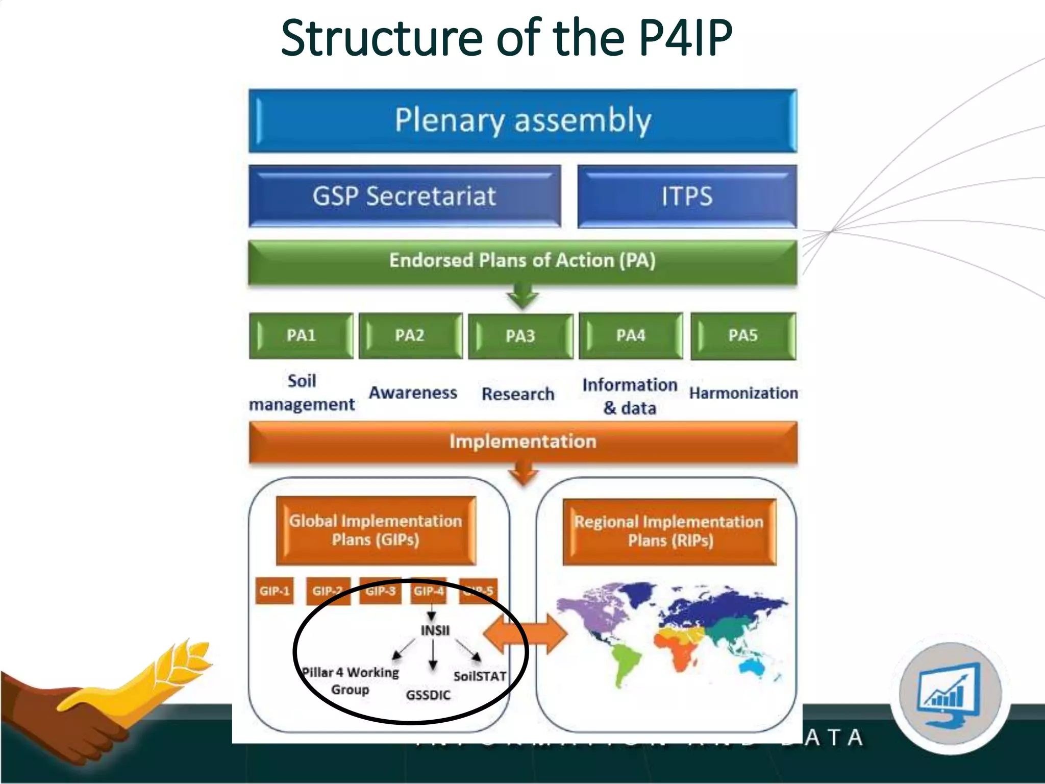 Structure of the P4IP
 