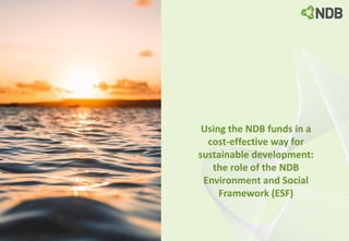 Using the NDB funds in a
cost-effective way for
sustainable development:
the role of the NDB
Environment and Social
Framew...