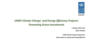 UNDP Climate Change and Energy Efficiency Projects:
Promoting Green Investments
1 October 2019, Paris
Tigran Sekoyan
UNDP Climate Change Programme,
Senior Expert on Energy and Energy Efficiency
1
 