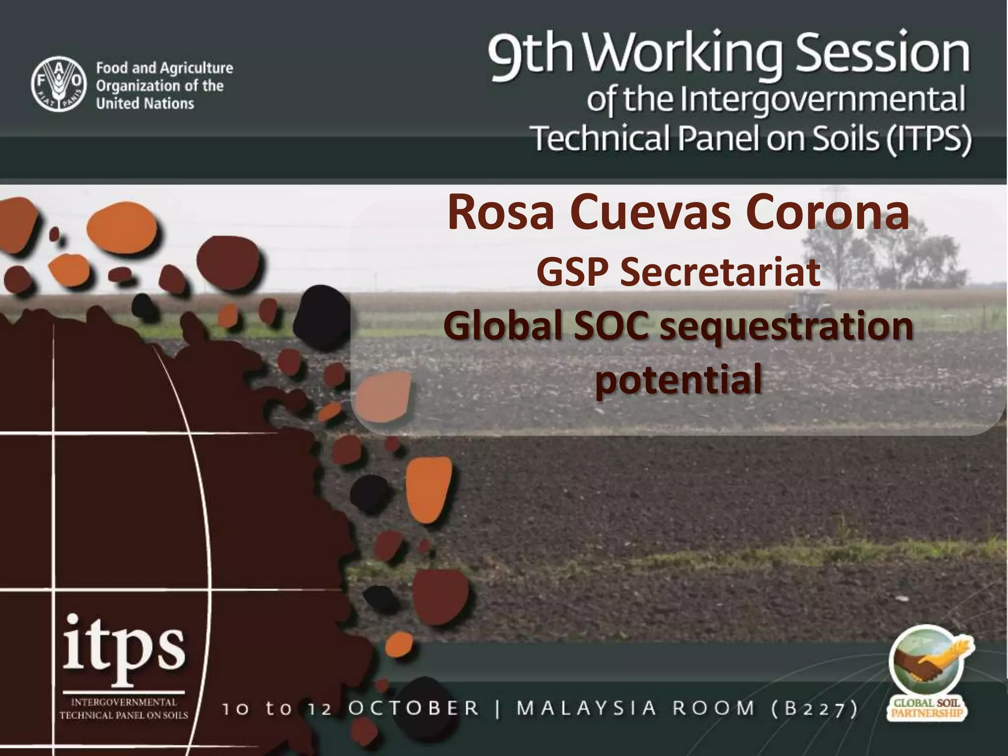 Rosa Cuevas Corona
GSP Secretariat
Global SOC sequestration
potential
 