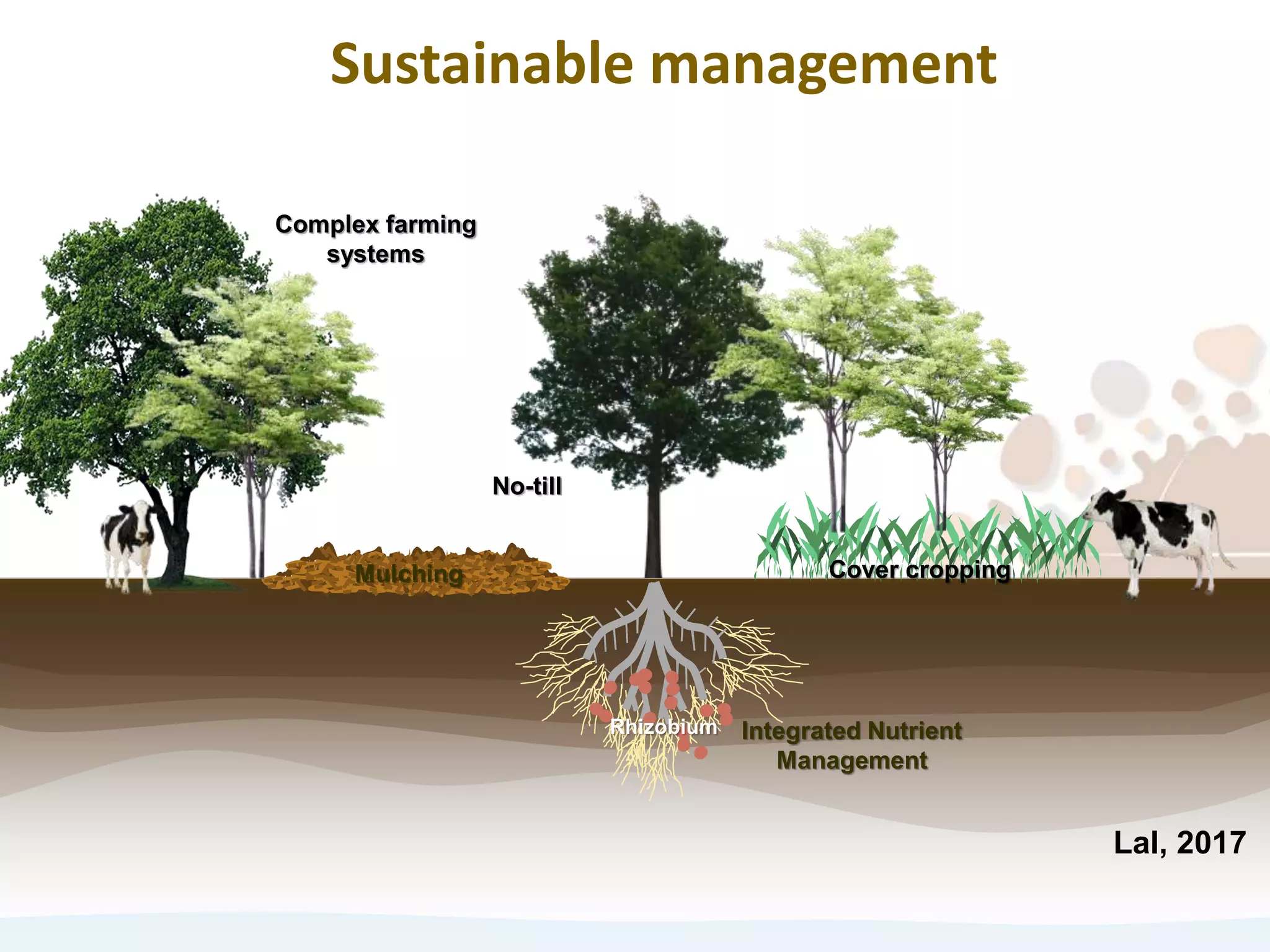 Mulching Cover cropping
Integrated Nutrient
Management
Rhizobium
Complex farming
systems
No-till
Sustainable management
Lal, 2017
 