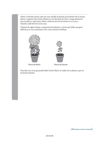 Extracto de ítems liberados contenidos 
en el informe 
Ítems aplicados en 4º Educación Primaria 
Publicación completa en el INEE 
160 de 236 
 