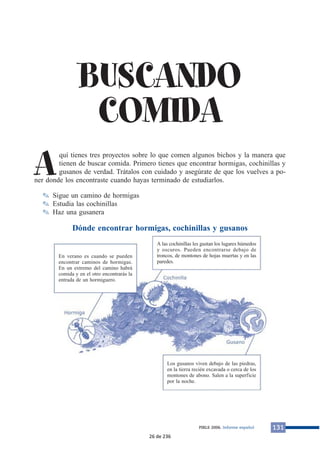 BUSCANDO 
COMIDA 
Aquí tienes tres proyectos sobre lo que comen algunos bichos y la manera que 
tienen de buscar comida. Primero tienes que encontrar hormigas, cochinillas y 
gusanos de verdad. Trátalos con cuidado y asegúrate de que los vuelves a po-ner 
donde los encontraste cuando hayas terminado de estudiarlos. 
PIRLS 2006. Informe español 131 
✎ Sigue un camino de hormigas 
✎ Estudia las cochinillas 
✎ Haz una gusanera 
Dónde encontrar hormigas, cochinillas y gusanos 
En verano es cuando se pueden 
encontrar caminos de hormigas. 
En un extremo del camino habrá 
comida y en el otro encontrarás la 
entrada de un hormiguero. 
A las cochinillas les gustan los lugares húmedos 
y oscuros. Pueden encontrarse debajo de 
troncos, de montones de hojas muertas y en las 
paredes. 
Los gusanos viven debajo de las piedras, 
en la tierra recién excavada o cerca de los 
montones de abono. Salen a la superficie 
por la noche. 
26 de 236 
 