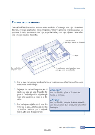 ESTUDIA LAS COCHINILLAS 
Buscando comida 
Las cochinillas tienen unas antenas muy sensibles. Construye una caja como ésta; 
después, pon seis cochinillas en un recipiente. Observa cómo se orientan cuando las 
pones en la caja. Necesitarás una caja pequeña vacía y con tapa, tijeras, cinta adhe-siva 
y hojas muertas húmedas. 
Tiras de cartón 
(no dejes huecos en el fondo) 
Hojas 
El pasillo debe tener la anchura justa 
para que pasen las cochinillas 
1. Usa la tapa para cortar tres tiras largas y construye con ellas los pasillos como 
se muestra en el dibujo. 
2. Deja que las cochinillas pasen por el 
pasillo de una en una. Cuando lle-guen 
al final del pasillo, algunas gi-rarán 
a la izquierda y otras, a la de-recha. 
3. Pon las hojas mojadas en el lado de-recho 
de la caja. Ahora deja que las 
cochinillas caminen por la caja de 
nuevo. ¿En qué dirección van? 
¿Qué pasa? 
Las cochinillas giran a la derecha, 
hacia la comida. 
¿Por qué? 
Las cochinillas pueden detectar comida 
con sus antenas. Las usan para encontrar 
las hojas. 
PIRLS 2006. Informe español 133 
Las cochinillas 
empiezan aquí 
28 de 236 
 