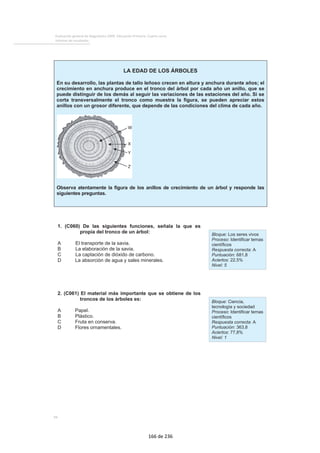 Evaluación general de diagnóstico 2009. Educación Primaria. Cuarto curso
Informe de resultados
94
LA EDAD DE LOS ÁRBOLES
En su desarrollo, las plantas de tallo leñoso crecen en altura y anchura durante años; el
crecimiento en anchura produce en el tronco del árbol por cada año un anillo, que se
puede distinguir de los demás al seguir las variaciones de las estaciones del año. Si se
corta transversalmente el tronco como muestra la figura, se pueden apreciar estos
anillos con un grosor diferente, que depende de las condiciones del clima de cada año.
Observa atentamente la figura de los anillos de crecimiento de un árbol y responde las
siguientes preguntas.
1. (C060) De las siguientes funciones, señala la que es
propia del tronco de un árbol:
A El transporte de la savia.
B La elaboración de la savia.
C La captación de dióxido de carbono.
D La absorción de agua y sales minerales.
Bloque: Los seres vivos
Proceso: Identificar temas
científicos
Respuesta correcta: A
Puntuación: 681,8
Aciertos: 22,5%
Nivel: 5
2. (C061) El material más importante que se obtiene de los
troncos de los árboles es:
A Papel.
B Plástico.
C Fruta en conserva.
D Flores ornamentales.
Bloque: Ciencia,
tecnología y sociedad
Proceso: Identificar temas
científicos
Respuesta correcta: A
Puntuación: 363,8
Aciertos: 77,8%
Nivel: 1
166 de 236
 