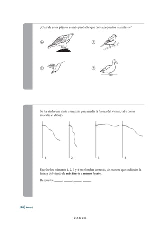 ¿Cuál de estos pájaros es más probable que coma pequeños mamíferos?
a b
c d
Se ha atado una cinta a un palo para medir la fuerza del viento, tal y como
muestra el dibujo.
Escribe los números 1, 2, 3 y 4 en el orden correcto, de manera que indiquen la
fuerza del viento de más fuerte a menos fuerte.
Respuesta: _____, _____, _____, _____
1 2 3 4
1 |
217 de 236
 