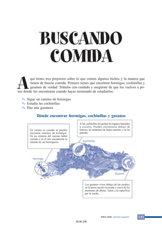 131PIRLS 2006. Informe español
BUSCANDO
COMIDA
Aquí tienes tres proyectos sobre lo que comen algunos bichos y la manera que
tienen de buscar comida. Primero tienes que encontrar hormigas, cochinillas y
gusanos de verdad. Trátalos con cuidado y asegúrate de que los vuelves a po-
ner donde los encontraste cuando hayas terminado de estudiarlos.
✎ Sigue un camino de hormigas
✎ Estudia las cochinillas
✎ Haz una gusanera
Dónde encontrar hormigas, cochinillas y gusanos
En verano es cuando se pueden
encontrar caminos de hormigas.
En un extremo del camino habrá
comida y en el otro encontrarás la
entrada de un hormiguero.
A las cochinillas les gustan los lugares húmedos
y oscuros. Pueden encontrarse debajo de
troncos, de montones de hojas muertas y en las
paredes.
Los gusanos viven debajo de las piedras,
en la tierra recién excavada o cerca de los
montones de abono. Salen a la superficie
por la noche.
26 de 236
 