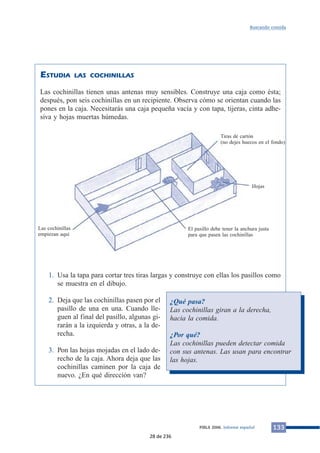 ESTUDIA LAS COCHINILLAS
Las cochinillas tienen unas antenas muy sensibles. Construye una caja como ésta;
después, pon seis cochinillas en un recipiente. Observa cómo se orientan cuando las
pones en la caja. Necesitarás una caja pequeña vacía y con tapa, tijeras, cinta adhe-
siva y hojas muertas húmedas.
1. Usa la tapa para cortar tres tiras largas y construye con ellas los pasillos como
se muestra en el dibujo.
2. Deja que las cochinillas pasen por el
pasillo de una en una. Cuando lle-
guen al final del pasillo, algunas gi-
rarán a la izquierda y otras, a la de-
recha.
3. Pon las hojas mojadas en el lado de-
recho de la caja. Ahora deja que las
cochinillas caminen por la caja de
nuevo. ¿En qué dirección van?
133PIRLS 2006. Informe español
Buscando comida
¿Qué pasa?
Las cochinillas giran a la derecha,
hacia la comida.
¿Por qué?
Las cochinillas pueden detectar comida
con sus antenas. Las usan para encontrar
las hojas.
Tiras de cartón
(no dejes huecos en el fondo)
Hojas
El pasillo debe tener la anchura justa
para que pasen las cochinillas
Las cochinillas
empiezan aquí
28 de 236
 