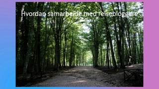 Hvordan samarbeide med reisebloggere
 