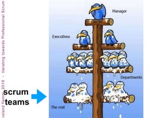 scrum
teams
 