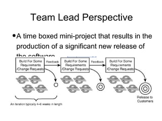 Team Lead Perspective
•A time boxed mini-project that results in the
 production of a significant new release of
 the software
 