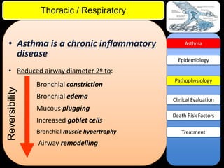 ITE Review

Thoracic / Respiratory

• Asthma is a chronic inflammatory
disease

Asthma

Epidemiology

Reversibility

• Reduced airway diameter 2º to:

Bronchial constriction
Bronchial edema

Pathophysiology

Clinical Evaluation

Mucous plugging

Increased goblet cells
Bronchial muscle hypertrophy

Airway remodelling

Death Risk Factors
Treatment

 