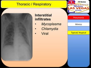 ITE Review

Thoracic / Respiratory
Interstitial
infiltrates
• Mycoplasma
• Chlamydia
• Viral

Pneumonia

Mimics

Typical/ Atypical

 