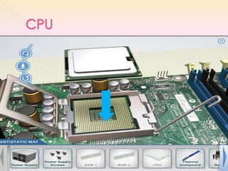 CPU