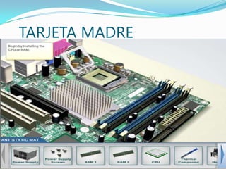 TARJETA MADRE