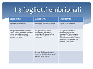 Ectoderma Mesoderma Endoderma
foglietto più esterno si sviluppa nell’endoderma foglietto più interno
si originano: annessi cutanei;
cavità nasale, boccale e tratto
anale; lente dell’occhio;
tessuto nervoso
si originano: apparato
circolatorio, escretore,
riproduttore; peritoneo e
mesenteri
si originano: intestino
primitivo; apparato
respiratorio, digerente e
ghiandole annesse (fegato,
pancreas etc.), apparato
urinario (una parte)
da esso derivano: tessuto
osseo, la dentina, il sangue,
tessuto muscolare
 