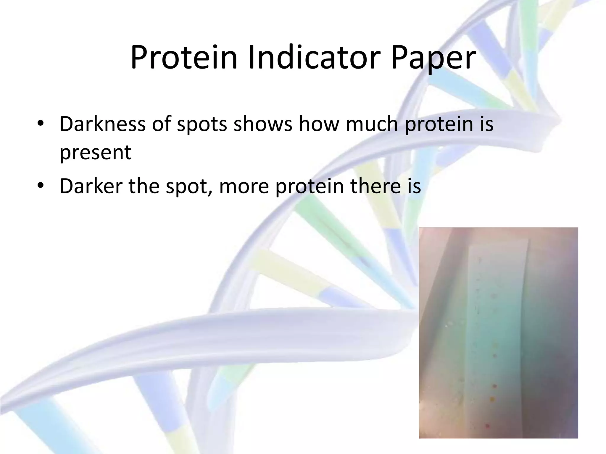 Protein Indicator Paper
• Darkness of spots shows how much protein is
  present
• Darker the spot, more protein there is
 