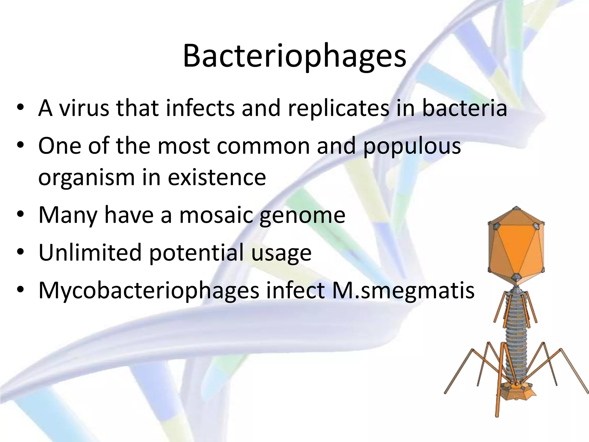 Bacteriophages
• A virus that infects and replicates in bacteria
• One of the most common and populous
  organism in existence
• Many have a mosaic genome
• Unlimited potential usage
• Mycobacteriophages infect M.smegmatis
 