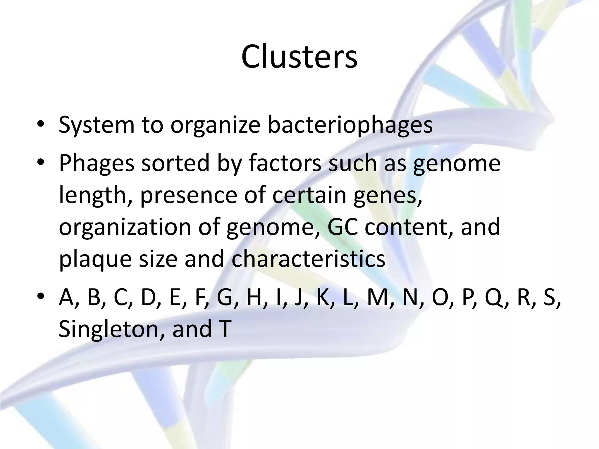 Clusters
• System to organize bacteriophages
• Phages sorted by factors such as genome
  length, presence of certain genes,
  organization of genome, GC content, and
  plaque size and characteristics
• A, B, C, D, E, F, G, H, I, J, K, L, M, N, O, P, Q, R, S,
  Singleton, and T
 