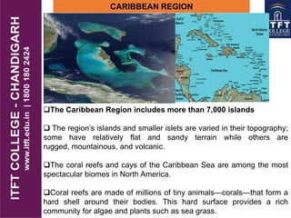 CARIBBEAN REGION
The Caribbean Region includes more than 7,000 islands
 The region’s islands and smaller islets are varied in their topography;
some have relatively flat and sandy terrain while others are
rugged, mountainous, and volcanic.
The coral reefs and cays of the Caribbean Sea are among the most
spectacular biomes in North America.
Coral reefs are made of millions of tiny animals—corals—that form a
hard shell around their bodies. This hard surface provides a rich
community for algae and plants such as sea grass.
 