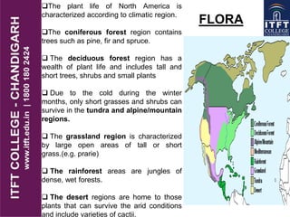 FLORA
The plant life of North America is
characterized according to climatic region.
The coniferous forest region contains
trees such as pine, fir and spruce.
 The deciduous forest region has a
wealth of plant life and includes tall and
short trees, shrubs and small plants
 Due to the cold during the winter
months, only short grasses and shrubs can
survive in the tundra and alpine/mountain
regions.
 The grassland region is characterized
by large open areas of tall or short
grass.(e.g. prarie)
 The rainforest areas are jungles of
dense, wet forests.
 The desert regions are home to those
plants that can survive the arid conditions
and include varieties of cactii.
 
