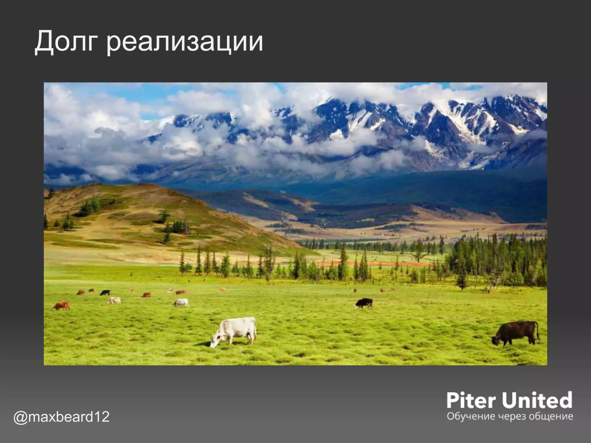 Долг реализации
@maxbeard12
 