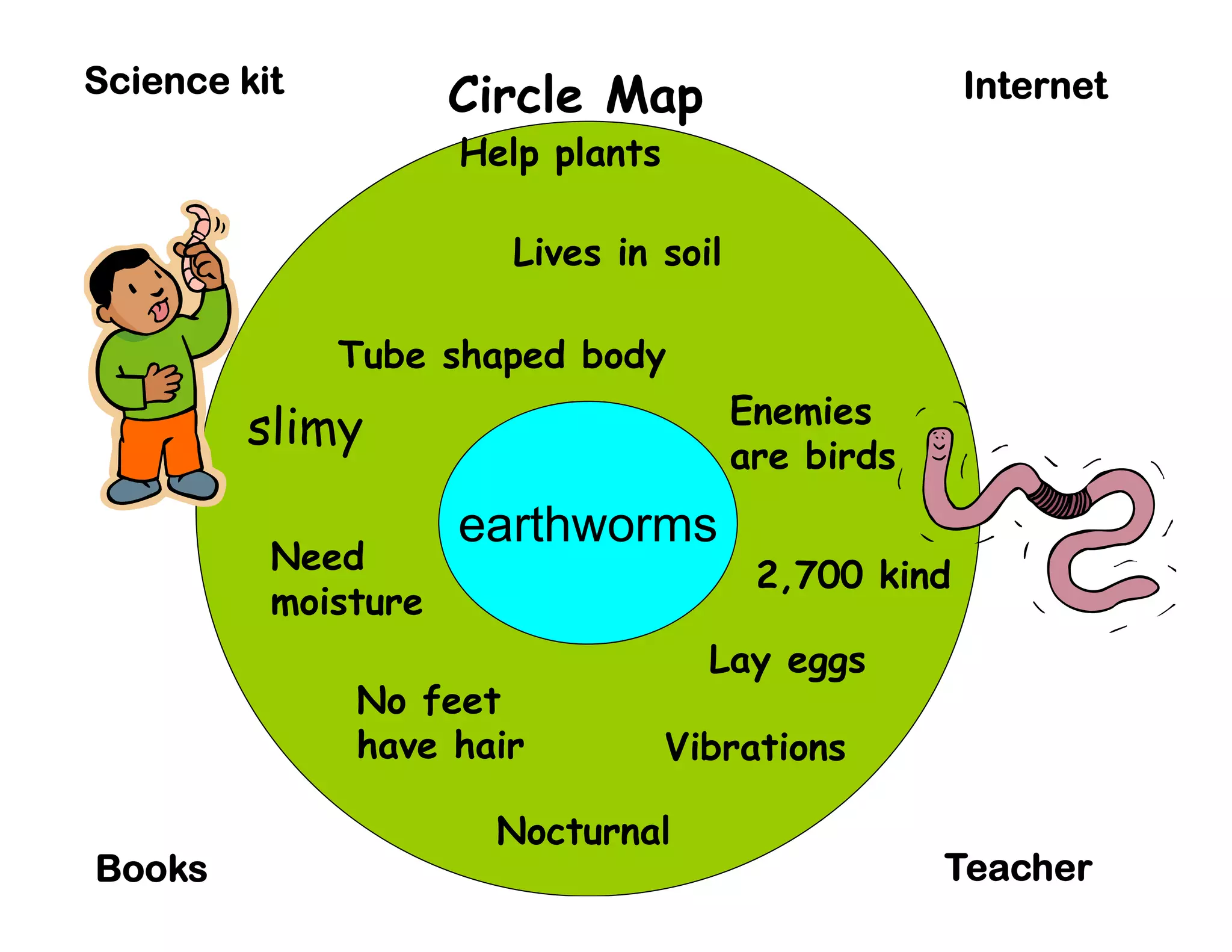 Science kit          Circle Map                      Internet
                     Help plants

                       Lives in soil

              Tube shaped body
                                       Enemies
         slimy
          li                           are birds
                     earthworms
          Need                          2,700 kind
          moisture
                                     Lay eggs
              No feet
              have hair            Vibrations

                       Nocturnal
Books                                              Teacher
 