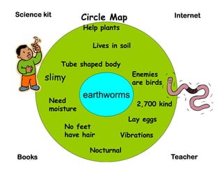 Science kit          Circle Map                      Internet
                     Help plants

                       Lives in soil

              Tube shaped body
                                       Enemies
         slimy
          li                           are birds
                     earthworms
          Need                          2,700 kind
          moisture
                                     Lay eggs
              No feet
              have hair            Vibrations

                       Nocturnal
Books                                              Teacher
 