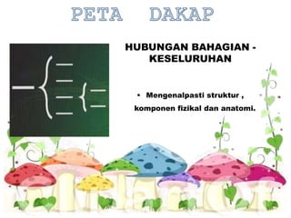 HUBUNGAN BAHAGIAN -
KESELURUHAN
 Mengenalpasti struktur ,
komponen fizikal dan anatomi.
 