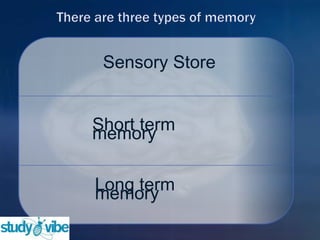 Sensory Store
Short term
memory
Long term
memory
 