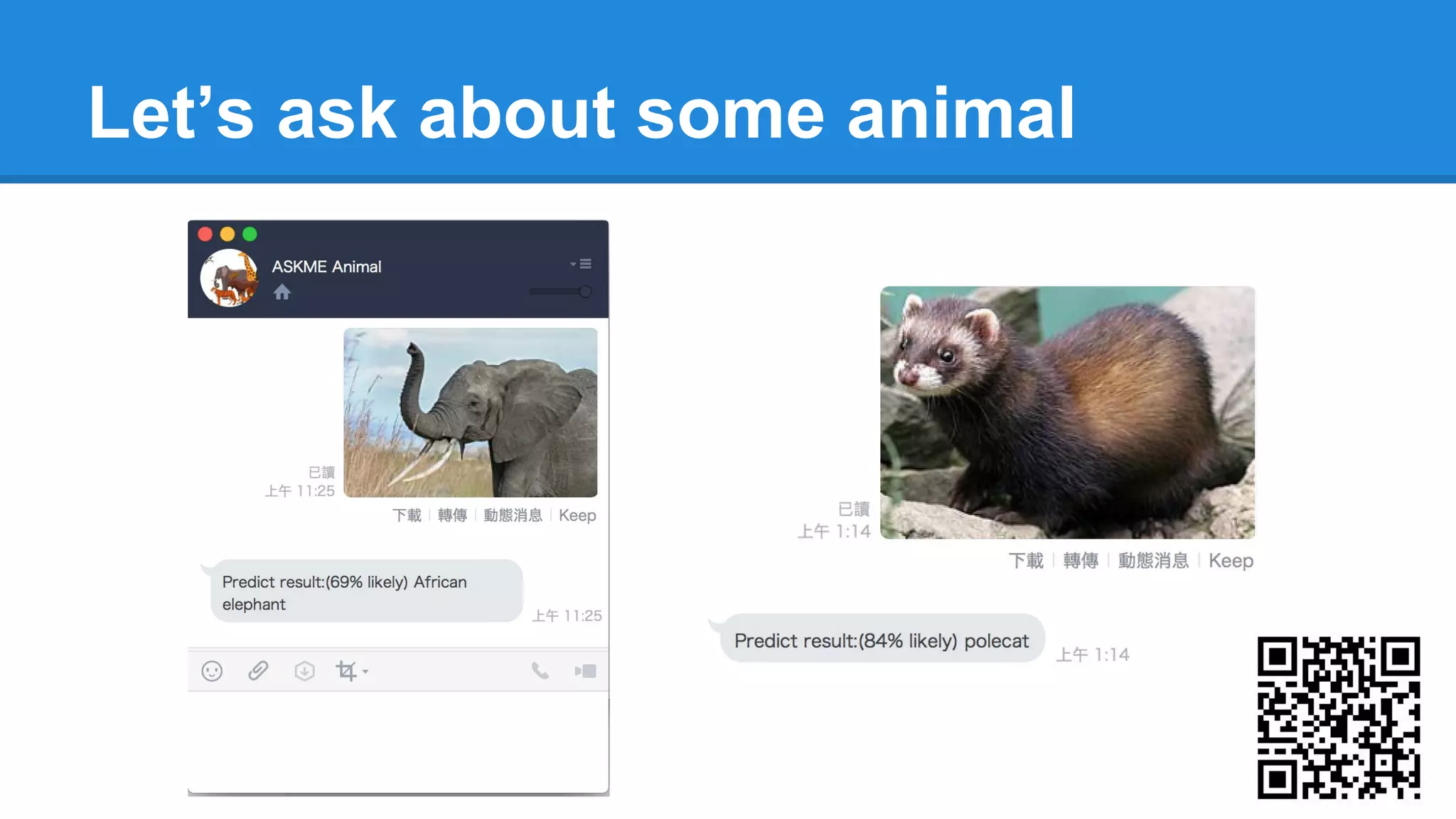 Let’s ask about some animal
 