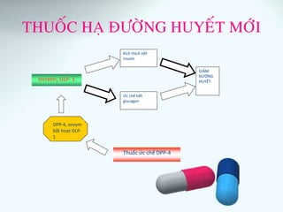 THUOÁC HAÏ ÑÖÔØNG HUYEÁT MÔÙI
Incretin, GLP- 1
Kích thích tiết
insulin
Ức chế tiết
glucagon
DPP-4, enzym
bất hoạt GLP-
1
Thuốc ức chế DPP-4
GIẢM
ĐƯỜNG
HUYẾT
 