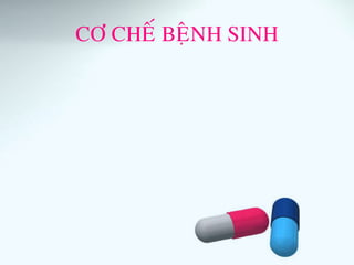 CÔ CHEÁ BEÄNH SINH
 