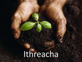 Ithreacha
 