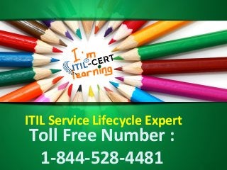 ITIL Service Lifecycle Expert
Toll Free Number :
1-844-528-4481
 