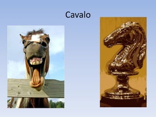 Cavalo