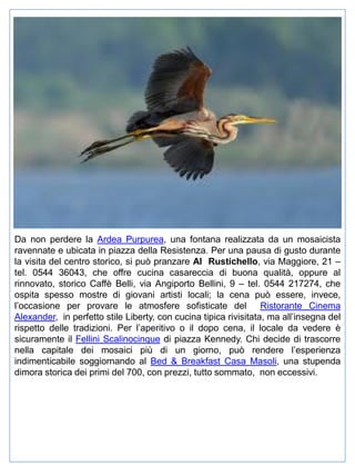 Da non perdere la Ardea Purpurea, una fontana realizzata da un mosaicista
ravennate e ubicata in piazza della Resistenza. Per una pausa di gusto durante
la visita del centro storico, si può pranzare Al Rustichello, via Maggiore, 21 –
tel. 0544 36043, che offre cucina casareccia di buona qualità, oppure al
rinnovato, storico Caffè Belli, via Angiporto Bellini, 9 – tel. 0544 217274, che
ospita spesso mostre di giovani artisti locali; la cena può essere, invece,
l’occasione per provare le atmosfere sofisticate del Ristorante Cinema
Alexander, in perfetto stile Liberty, con cucina tipica rivisitata, ma all’insegna del
rispetto delle tradizioni. Per l’aperitivo o il dopo cena, il locale da vedere è
sicuramente il Fellini Scalinocinque di piazza Kennedy. Chi decide di trascorre
nella capitale dei mosaici più di un giorno, può rendere l’esperienza
indimenticabile soggiornando al Bed & Breakfast Casa Masoli, una stupenda
dimora storica dei primi del 700, con prezzi, tutto sommato, non eccessivi.

 