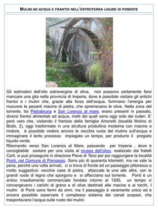 MULINI AD ACQUA E FRANTOI

NELL’ENTROTERRA LIGURE DI PONENTE

Gli estimatori dell’olio extravergine di oliva, non possono certamente farsi
mancare una gita nella provincia di Imperia, dove è possibile visitare gli antichi
frantoi e i mulini che, grazie alla forza dell’acqua, fornivano l’energia per
muovere le pesanti macine di pietra, che spremevano le olive. Nella zona del
torrente, tra Pietrabruna e San Lorenzo al mare, erano presenti in passato,
diversi frantoi alimentati ad acqua, molti dei quali sono oggi solo dei ruderi. E’
però vero che, visitando il frantoio della famiglia Amoretti (località Molino di
Bodo, 2), oggi trasformato in una struttura produttiva moderna con macine a
motore, è possibile vedere ancora la vecchia ruota del mulino sull’acqua e
immaginare il lento processo impiegato un tempo, per produrre il pregiato
liquido verde.
Ritornando verso San Lorenzo al Mare, passando per Imperia , dove è
consigliabile sostare per una visita al museo dell’olivo, realizzato dai fratelli
Carli, si può proseguire in direzione Pieve di Teco per poi raggiungere la località
Ponti, nel Comune di Pornassio. Sono più di quaranta kilometri, ma ne vale la
pena, perché una volta arrivati, ci si trova di fronte ad un passeggio pittoresco e
molto suggestivo: vecchie case di pietra, attaccate le une alle altre, con le
grandi ruote di legno che sporgono e si affacciano sul torrente. Ponti è un
antico insediamento commerciale fondato intorno al 1200, un tempo vi
convergevano i carichi di grano e di olive destinati alle macine e ai torchi. I
mulini di Ponti sono fermi da anni, ma il paesaggio è veramente unico ed è
ancora possibile osservare il complesso sistema dei canali sospesi, che
trasportavano l’acqua sulle ruote dei mulini.

 