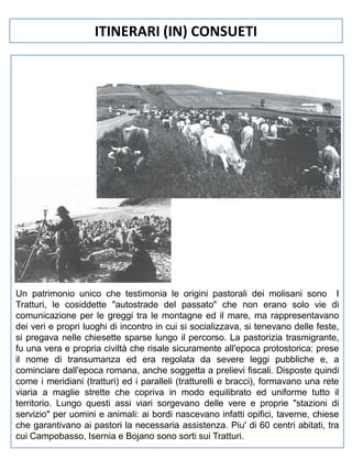 ITINERARI (IN) CONSUETI

Un patrimonio unico che testimonia le origini pastorali dei molisani sono I
Tratturi, le cosiddette "autostrade del passato" che non erano solo vie di
comunicazione per le greggi tra le montagne ed il mare, ma rappresentavano
dei veri e propri luoghi di incontro in cui si socializzava, si tenevano delle feste,
si pregava nelle chiesette sparse lungo il percorso. La pastorizia trasmigrante,
fu una vera e propria civiltà che risale sicuramente all'epoca protostorica: prese
il nome di transumanza ed era regolata da severe leggi pubbliche e, a
cominciare dall'epoca romana, anche soggetta a prelievi fiscali. Disposte quindi
come i meridiani (tratturi) ed i paralleli (tratturelli e bracci), formavano una rete
viaria a maglie strette che copriva in modo equilibrato ed uniforme tutto il
territorio. Lungo questi assi viari sorgevano delle vere e proprie "stazioni di
servizio" per uomini e animali: ai bordi nascevano infatti opifici, taverne, chiese
che garantivano ai pastori la necessaria assistenza. Piu' di 60 centri abitati, tra
cui Campobasso, Isernia e Bojano sono sorti sui Tratturi.

 