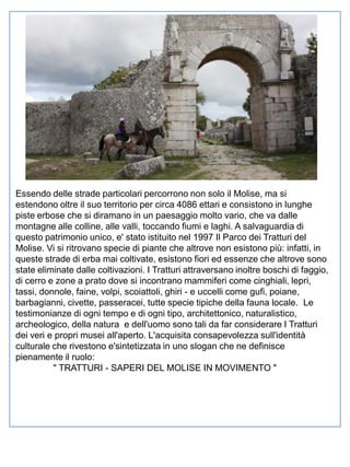 Essendo delle strade particolari percorrono non solo il Molise, ma si
estendono oltre il suo territorio per circa 4086 ettari e consistono in lunghe
piste erbose che si diramano in un paesaggio molto vario, che va dalle
montagne alle colline, alle valli, toccando fiumi e laghi. A salvaguardia di
questo patrimonio unico, e' stato istituito nel 1997 Il Parco dei Tratturi del
Molise. Vi si ritrovano specie di piante che altrove non esistono più: infatti, in
queste strade di erba mai coltivate, esistono fiori ed essenze che altrove sono
state eliminate dalle coltivazioni. I Tratturi attraversano inoltre boschi di faggio,
di cerro e zone a prato dove si incontrano mammiferi come cinghiali, lepri,
tassi, donnole, faine, volpi, scoiattoli, ghiri - e uccelli come gufi, poiane,
barbagianni, civette, passeracei, tutte specie tipiche della fauna locale. Le
testimonianze di ogni tempo e di ogni tipo, architettonico, naturalistico,
archeologico, della natura e dell'uomo sono tali da far considerare I Tratturi
dei veri e propri musei all'aperto. L'acquisita consapevolezza sull'identità
culturale che rivestono e'sintetizzata in uno slogan che ne definisce
pienamente il ruolo:
" TRATTURI - SAPERI DEL MOLISE IN MOVIMENTO "

 