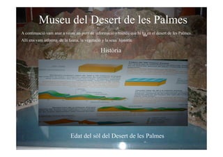 Desert de les Palmes (07/08)  Ivan