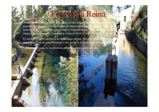 Desert de les Palmes (07/08)  Ivan