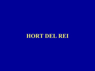 HORT DEL REI 