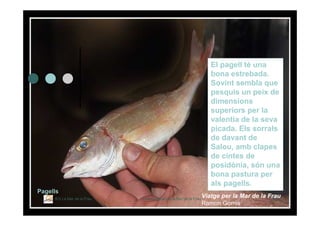 Itinerari Literari per La Mar De La Frau