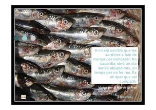 Itinerari Literari per La Mar De La Frau