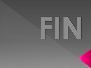 Itinerario por la Zaragoza de la Ilustración