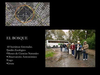 EL BOSQUE60 hectáreas forestadas.Jardín Zoológico