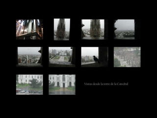 Cripta - Restos mortales de Dardo Rocha y su esposa 