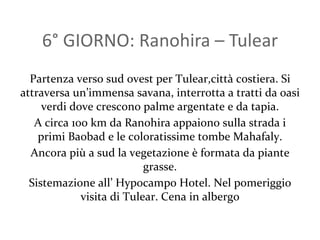 6° GIORNO: Ranohira – Tulear Partenza verso sud ovest per Tulear,città costiera. Si attraversa un’immensa savana, interrotta a tratti da oasi verdi dove crescono palme argentate e da tapia. A circa 100 km da Ranohira appaiono sulla strada i primi Baobad e le coloratissime tombe Mahafaly. Ancora più a sud la vegetazione è formata da piante grasse. Sistemazione all’ Hypocampo Hotel. Nel pomeriggio visita di Tulear. Cena in albergo 