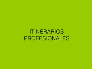 ITINERARIOS PROFESIONALES 